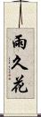 雨久花 Scroll