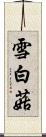 雪白菇 Scroll