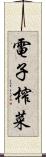 電子榨菜 Scroll