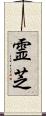 霊芝 Scroll