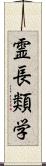 霊長類学 Scroll