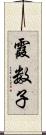 霞数子 Scroll