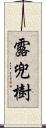 露兜樹 Scroll