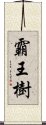 霸王樹 Scroll