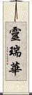 靈瑞華 Scroll