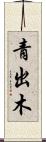 青出木 Scroll