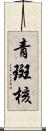 青斑核 Scroll