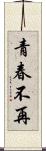 青春不再 Scroll