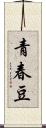 青春豆 Scroll