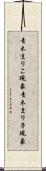 青木まりこ現象 Scroll