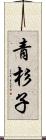 青杉子 Scroll