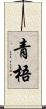 青梧 Scroll