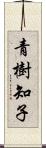青樹知子 Scroll
