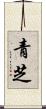 青芝 Scroll