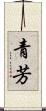 青芳 Scroll