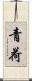 青荷 Scroll