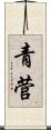 青菅 Scroll