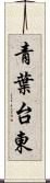 青葉台東 Scroll