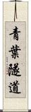 青葉隧道 Scroll