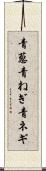 青葱 Scroll