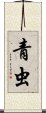 青虫 Scroll
