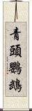 青頭鸚鵡 Scroll