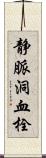 静脈洞血栓 Scroll