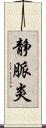静脈炎 Scroll