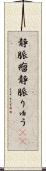 静脈瘤 Scroll