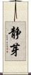 静芽 Scroll