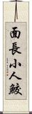 面長小人鮫 Scroll