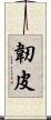 韌皮 Scroll