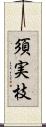 須実枝 Scroll