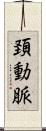 頚動脈 Scroll