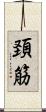 頚筋 Scroll