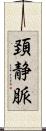 頚静脈 Scroll