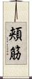 頬筋 Scroll