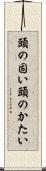 頭の固い Scroll