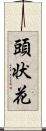 頭状花 Scroll
