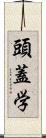 頭蓋学 Scroll