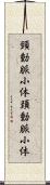 頸動脈小体 Scroll