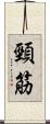 頸筋 Scroll