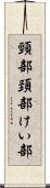 頸部 Scroll