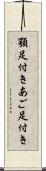 顎足付き Scroll