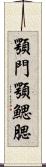 顎門 Scroll