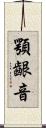 顎齦音 Scroll