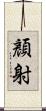 顏射 Scroll