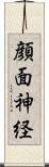 顔面神経 Scroll