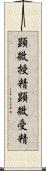 顕微授精 Scroll