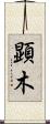 顕木 Scroll